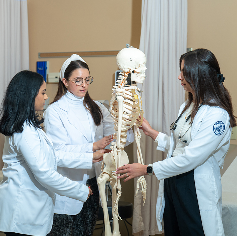 Nurses studying a skeleton model