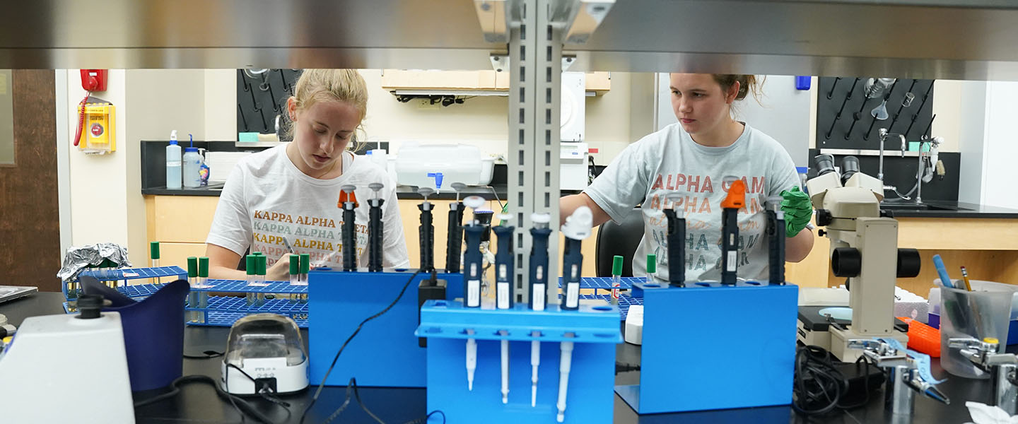 Two students work together on a research project in a biology lab
