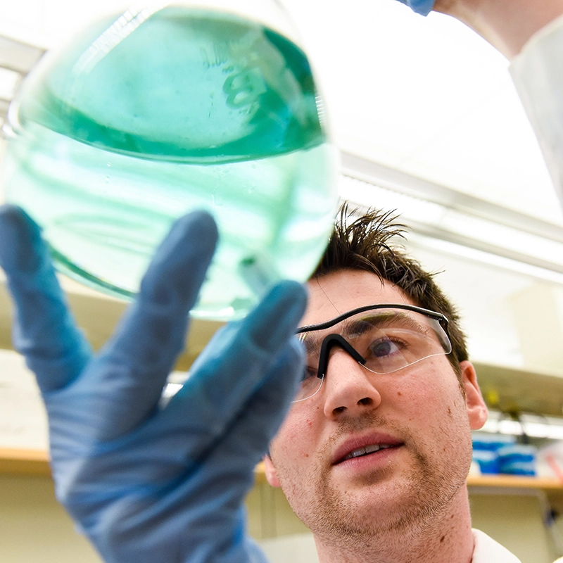 Belmont Doctor of Pharmacy student wearing safety goggles and blue gloves examines a round laboratory flask filled with green liquid in a research lab.