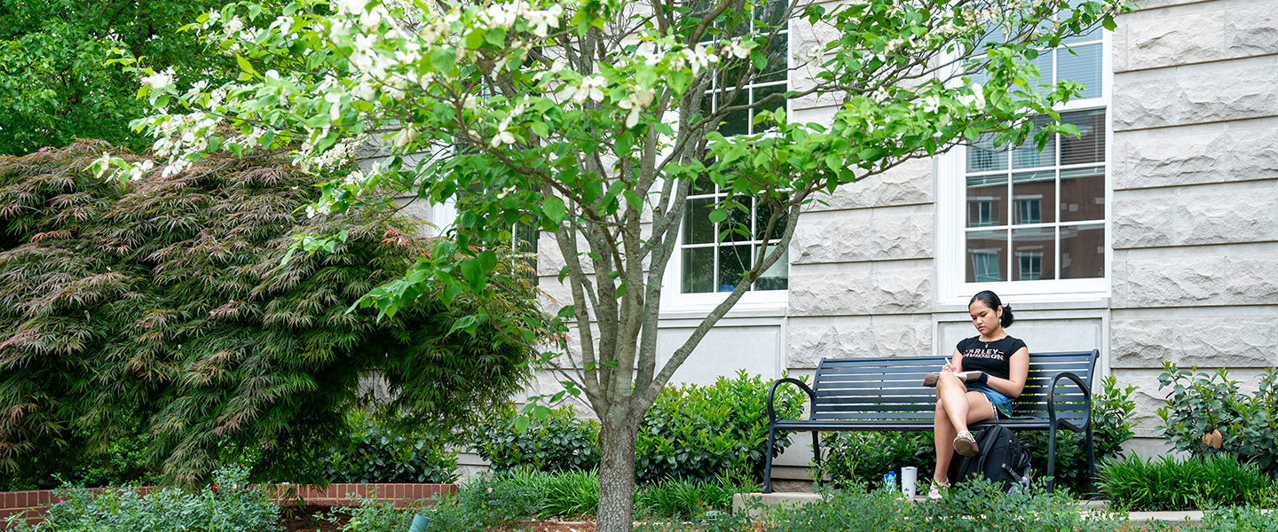 A student studying on a bench in a green area on Belmont's campus