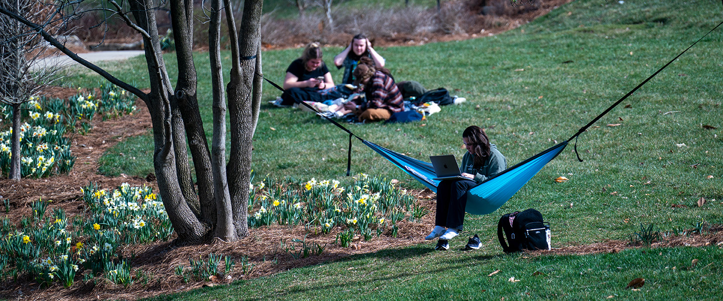 Student sitting in a hammock on with their laptop in their lap on a sunny day