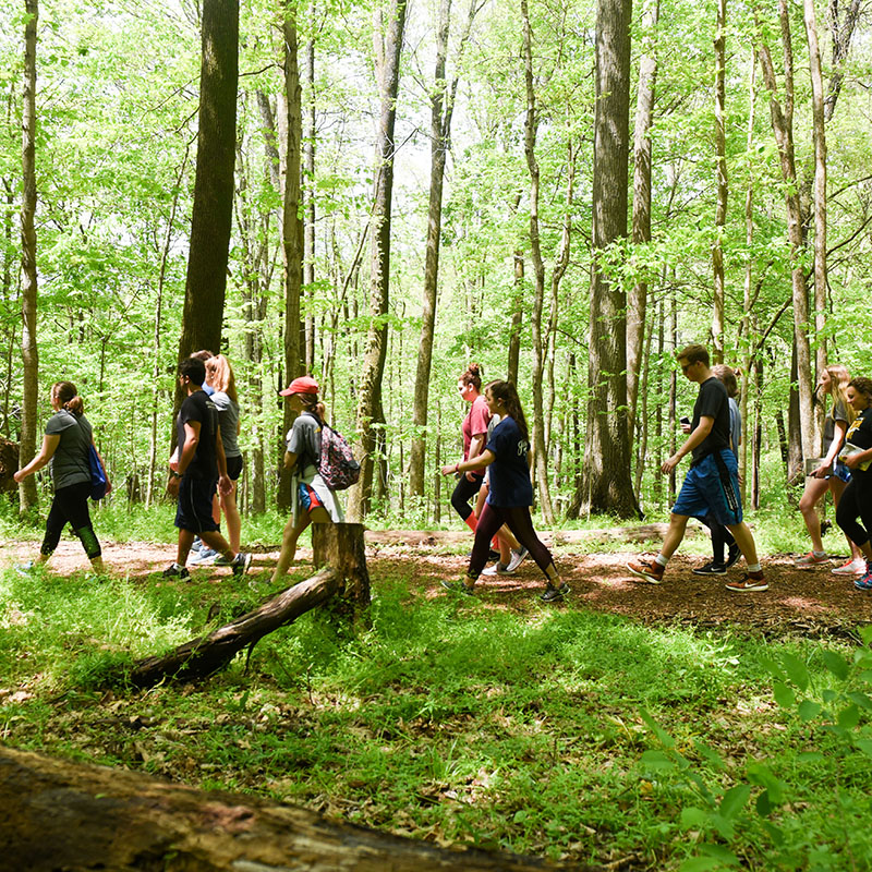 Students out on a hike