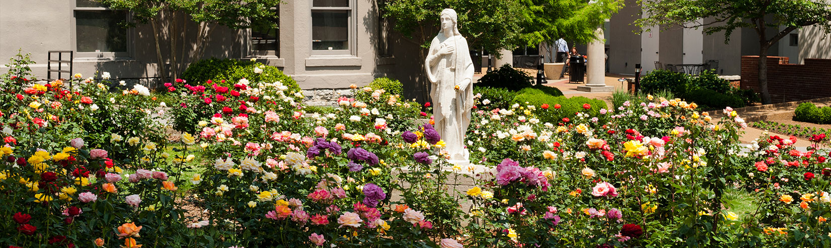 A photo of the Rose Garden, with multi-colored roses circling a garden statue.