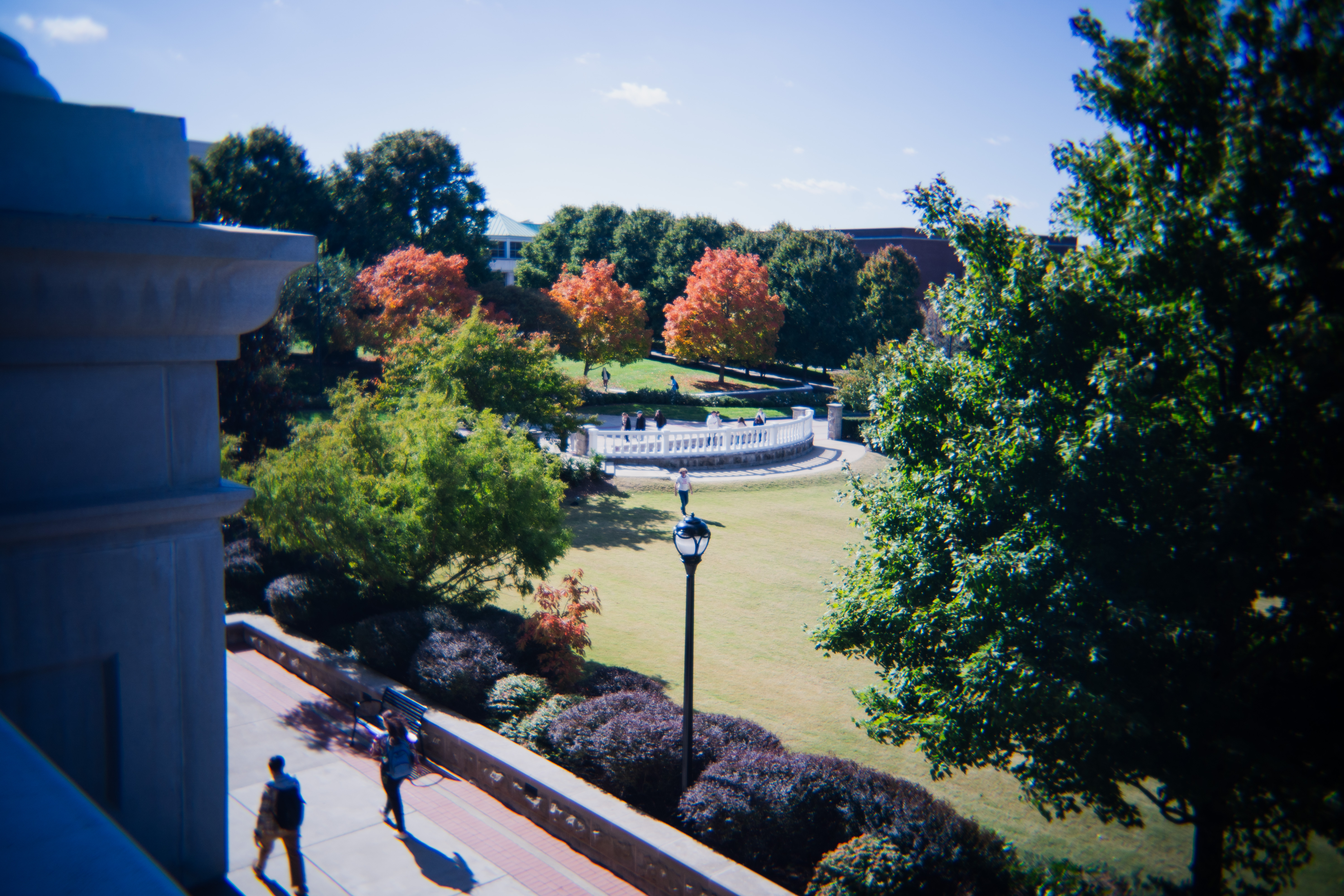 Photo of campus with fall colors