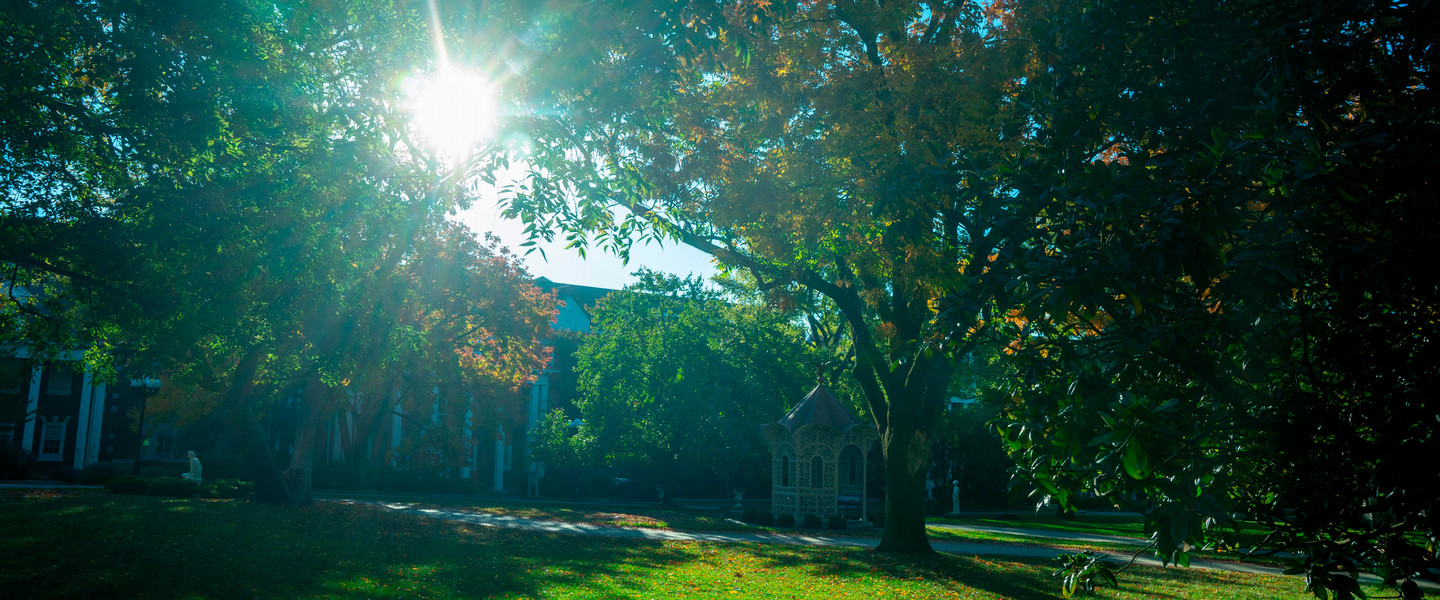 The sun shining through the trees on the historic side of campus with a gazebo 