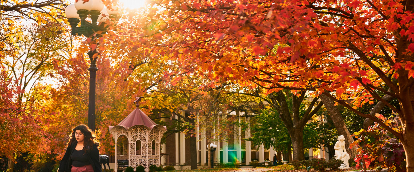 The sun shining through the fall colored trees on the historic side of campus while a student walks in front of a gazebo