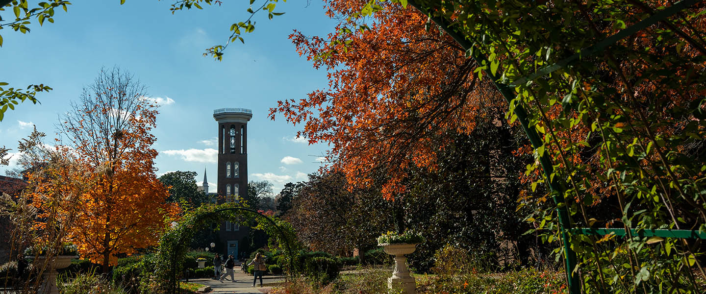 The bell tower from a distance on a sunny day though the fall colored leaves of a tree 