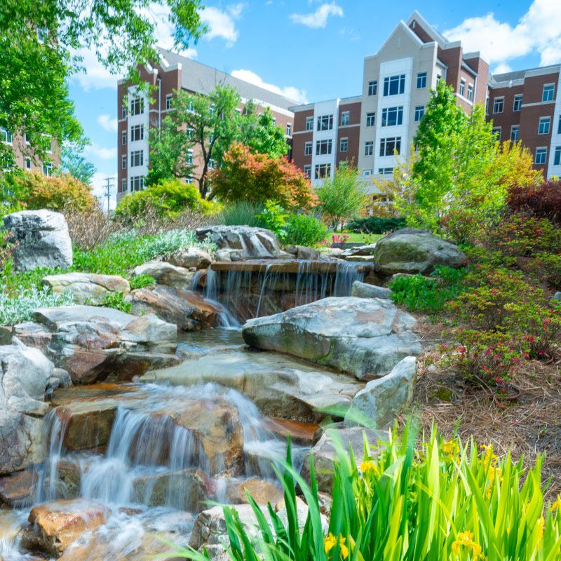 Bear Creek in the spring with Dickens Hall in the background