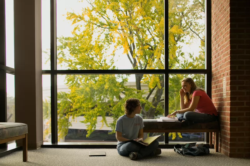 Two students studying at Bunch Library by a large window with trees showing yellow autumn leaves outside.