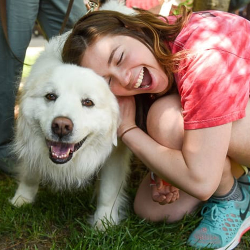 Student hugging a fluffy white dog 