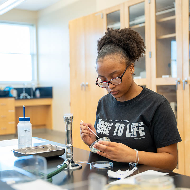 Student adding sample to petri dish in lab