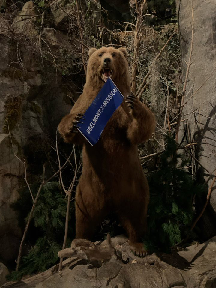 Stuffed bear at Bass Pro Shop with Belmont on Mission banner