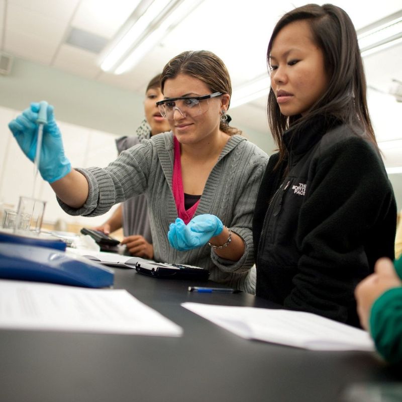 Pharmacy students do an experiment