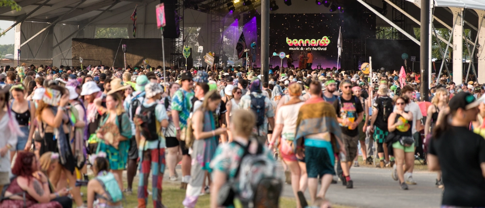 Bonnaroo crowd