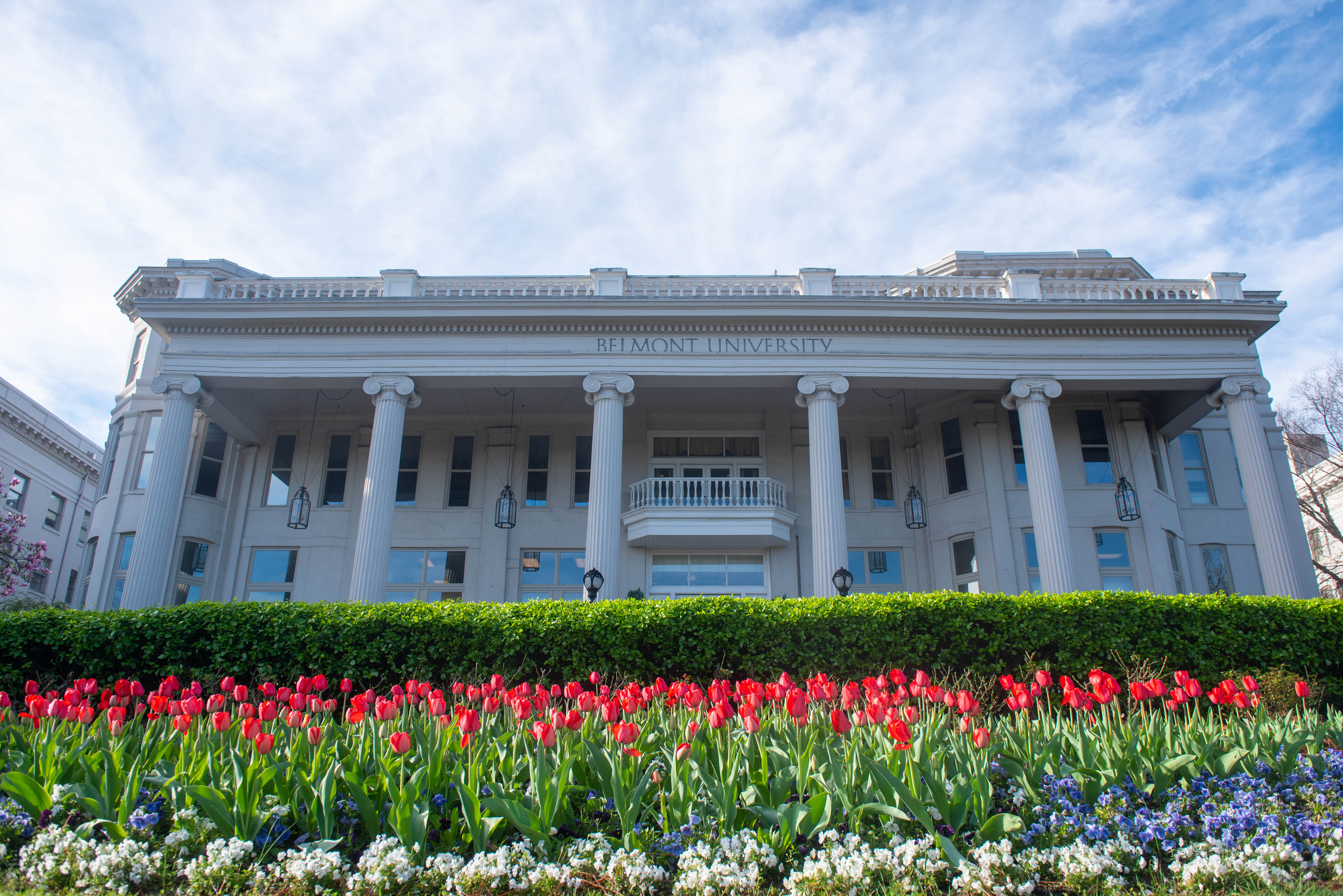 Tulips blooming in front of Belmont's Freeman Hall