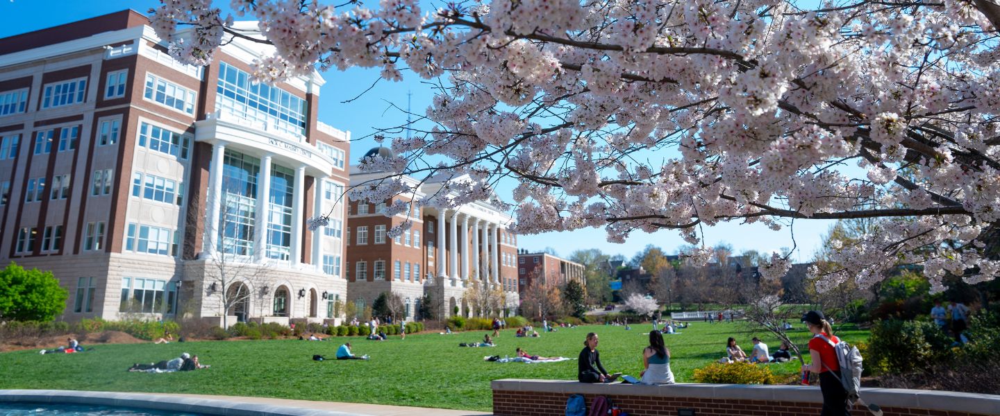 Belmont's south lawn