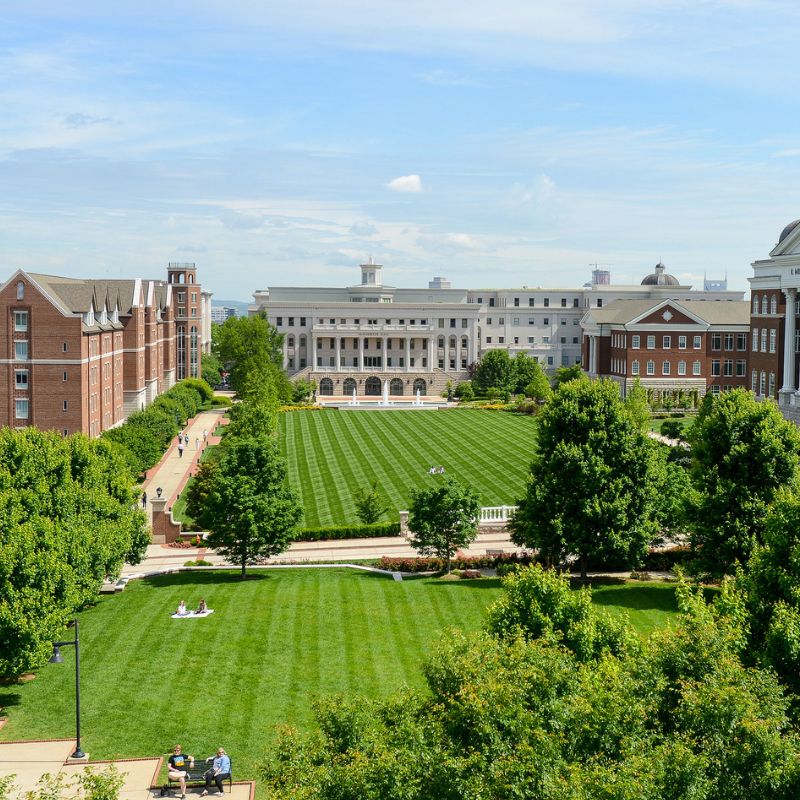 McWhorter lawn