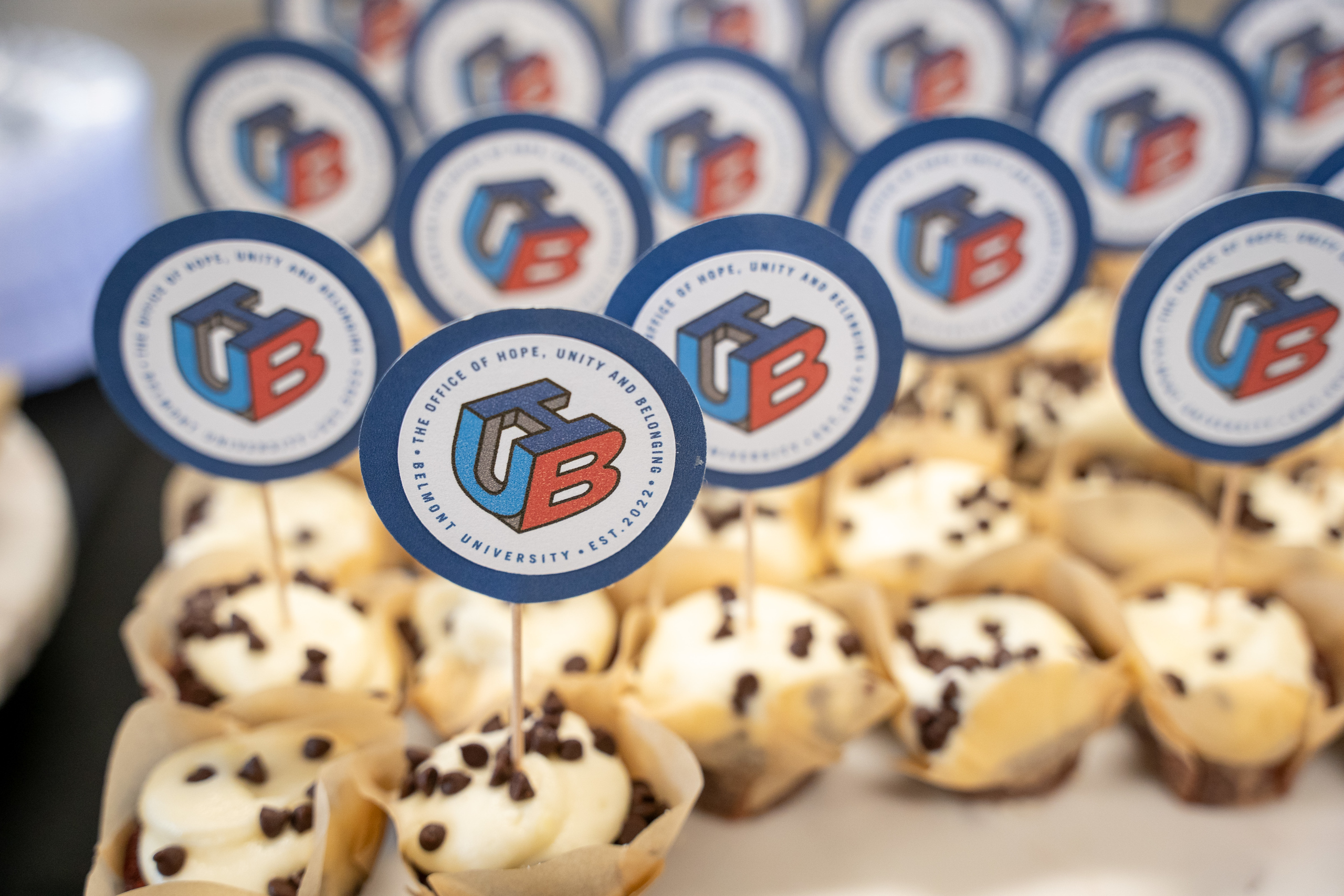 Cupcakes with toppers that have the HUB office logo on them