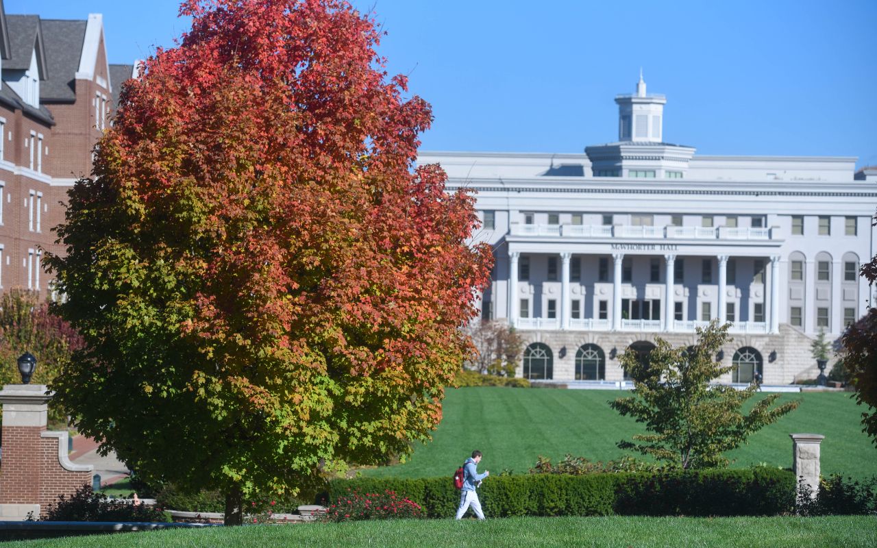 A tree with red leaves in front of McWhorter Hall