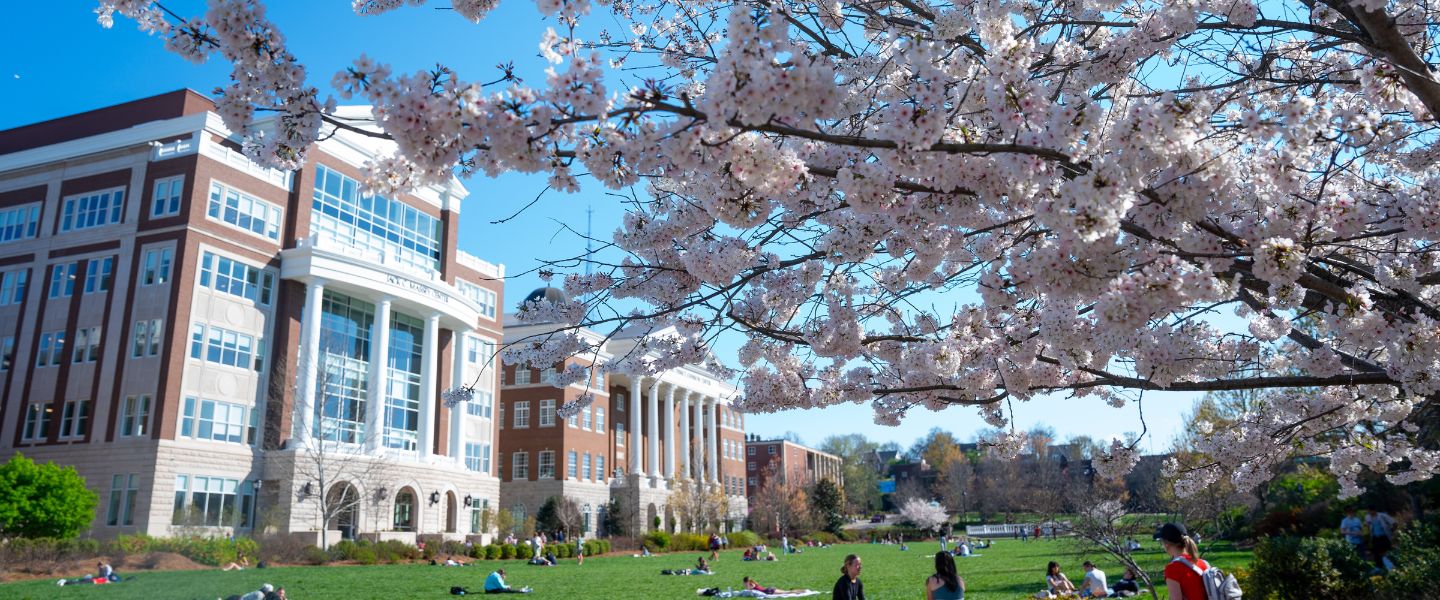 Lawn at Belmont with blooming tree