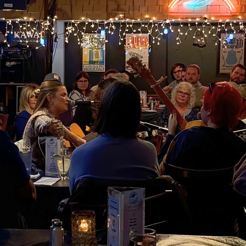 Ryann Elise performing with a guitar