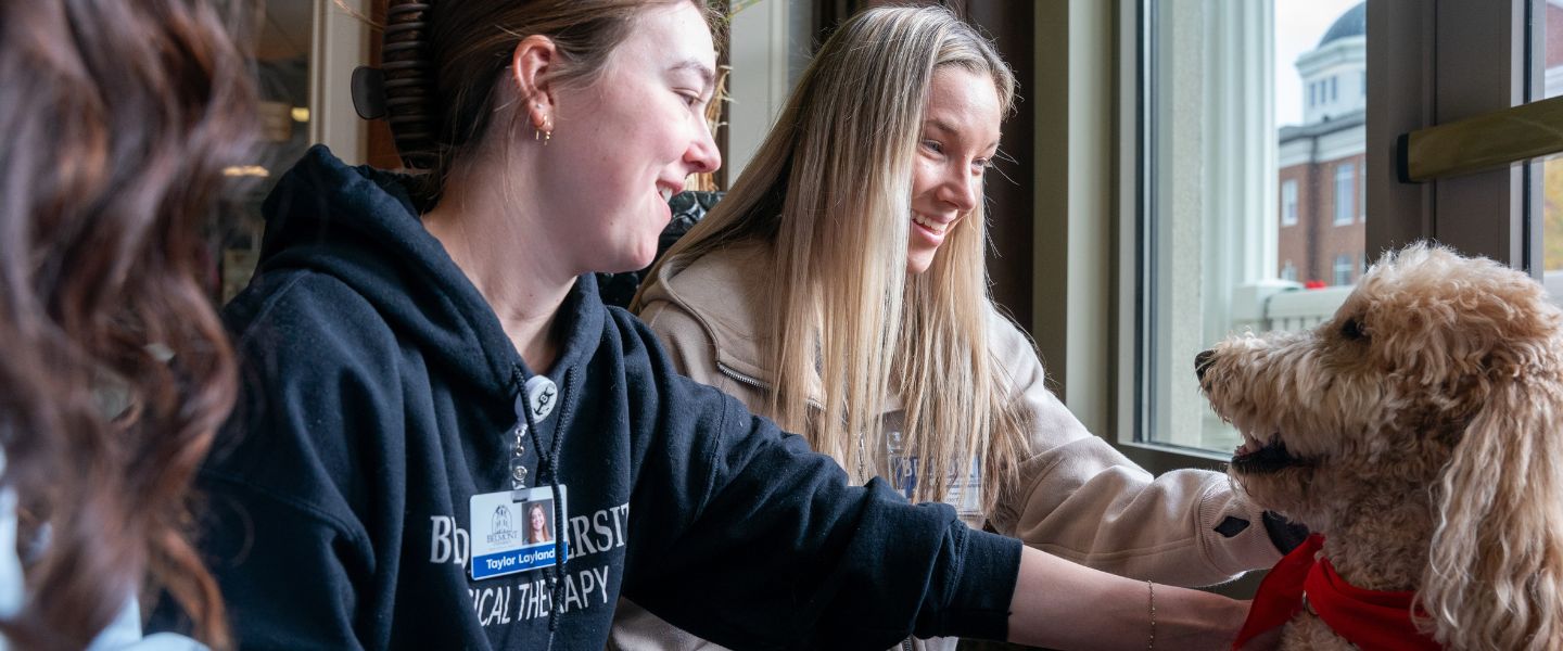 Students with a therapy dog on campus