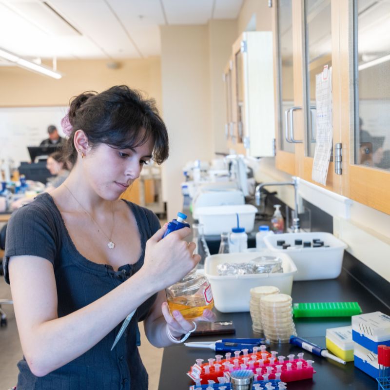 Student researching a Belmont lab