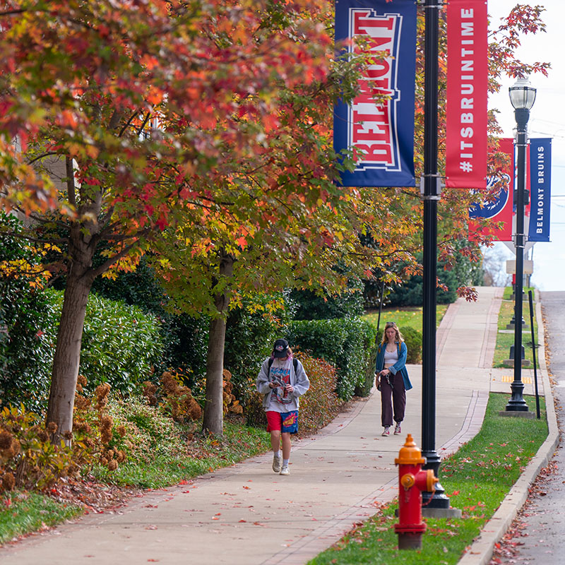 Two students walking separately down a side walk in the fall