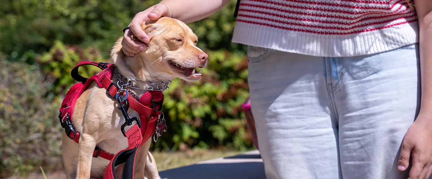 Professor Doe stands beside the waist of a student while their hand is on his head.