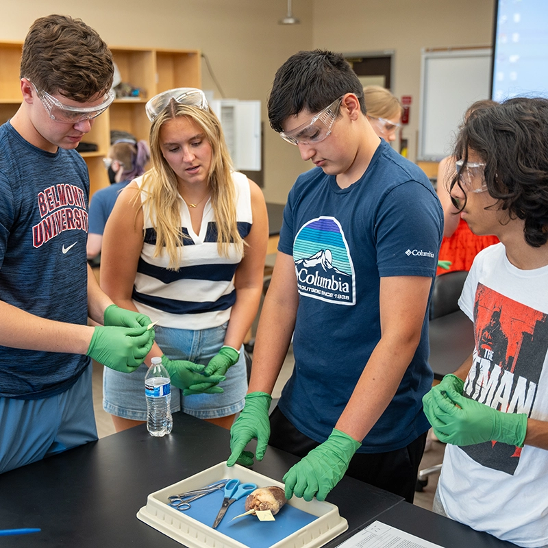 Four students wearing safety goggles and green gloves work together on a dissection in a science lab. A Belmont University student in a blue shirt assists the group.