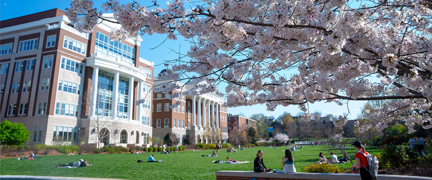 Students relaxing and studying on the lawn of Belmont University's campus on a sunny day, with cherry blossoms in full bloom and academic buildings in the background.